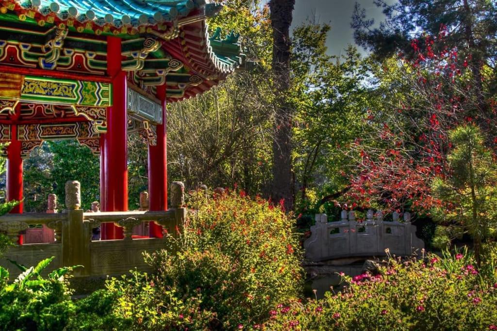 Golden Gate Park Sweet Home-2 Bedrooms San Francisco Exterior photo